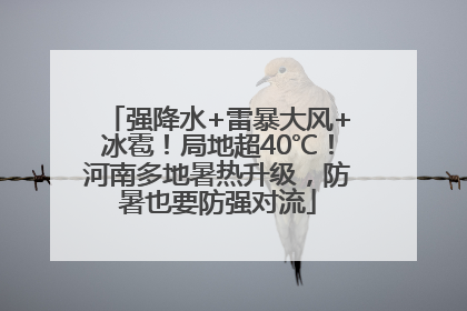 强降水+雷暴大风+冰雹！局地超40℃！河南多地暑热升级，防暑也要防强对流