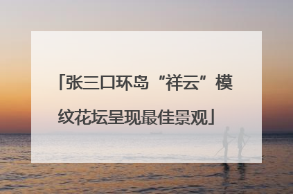 张三口环岛“祥云”模纹花坛呈现最佳景观