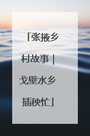 张掖乡村故事｜戈壁水乡插秧忙