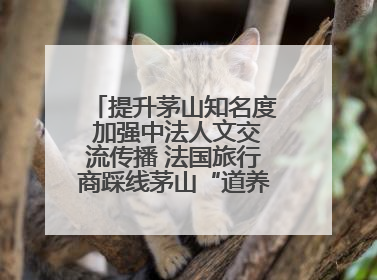 提升茅山知名度 加强中法人文交流传播 法国旅行商踩线茅山“道养文化产品”