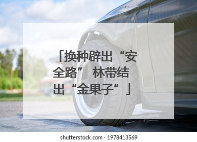 换种辟出“安全路” 林带结出“金果子”