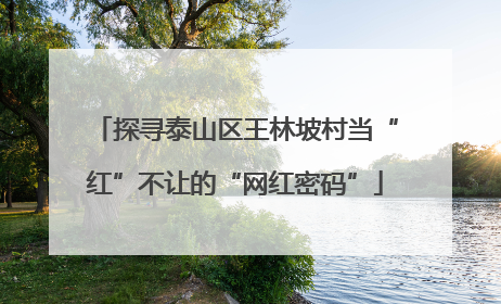 探寻泰山区王林坡村当“红”不让的“网红密码”