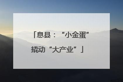 息县：“小金蛋”撬动“大产业”