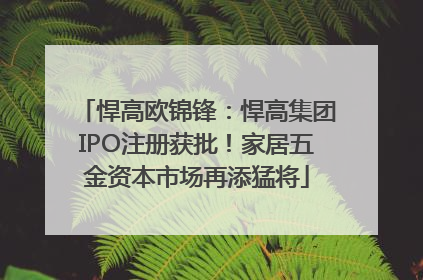 悍高欧锦锋：悍高集团IPO注册获批！家居五金资本市场再添猛将
