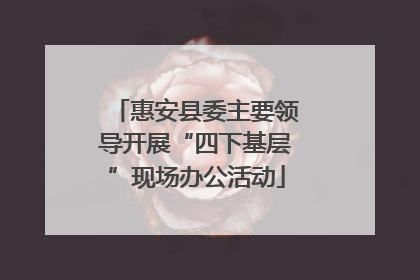 惠安县委主要领导开展“四下基层”现场办公活动