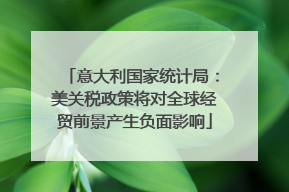 意大利国家统计局：美关税政策将对全球经贸前景产生负面影响