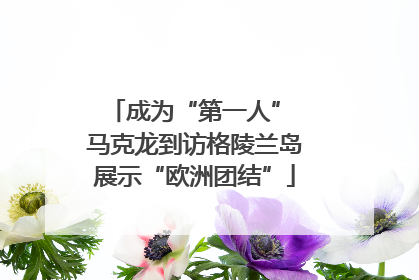 成为“第一人” 马克龙到访格陵兰岛展示“欧洲团结”