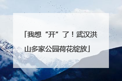 我想“开”了！武汉洪山多家公园荷花绽放