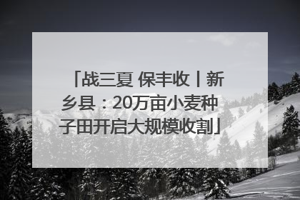 战三夏 保丰收丨新乡县：20万亩小麦种子田开启大规模收割