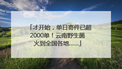 才开始，单日寄件已超2000单！云南野生菌火到全国各地……