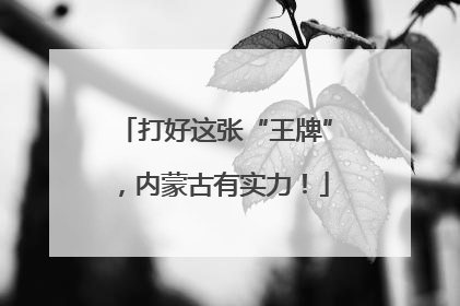 打好这张“王牌”，内蒙古有实力！