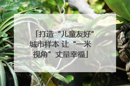 打造“儿童友好”城市样本 让“一米视角”丈量幸福