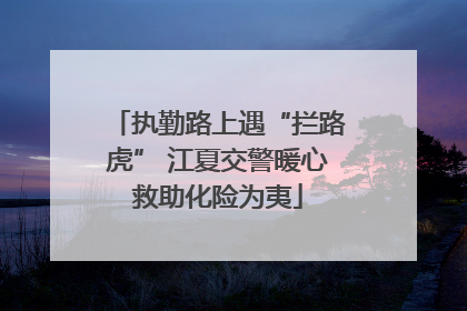 执勤路上遇“拦路虎” 江夏交警暖心救助化险为夷