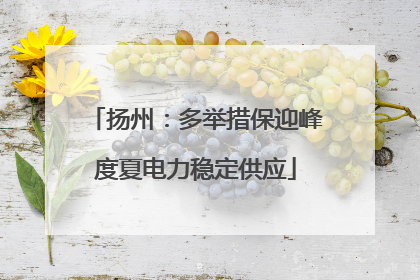 扬州：多举措保迎峰度夏电力稳定供应