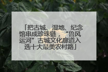 把古城、湿地、纪念馆串成珍珠链，“鲁风运河”古城文化廊道入选十大最美农村路