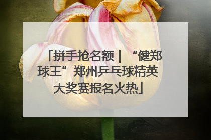 拼手抢名额｜“健郑球王”郑州乒乓球精英大奖赛报名火热