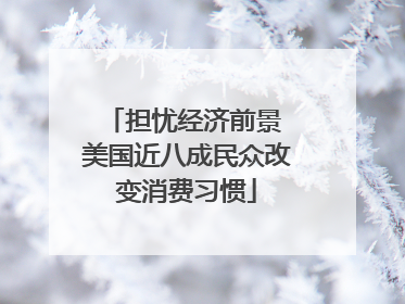 担忧经济前景 美国近八成民众改变消费习惯