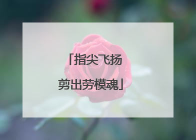 指尖飞扬 剪出劳模魂