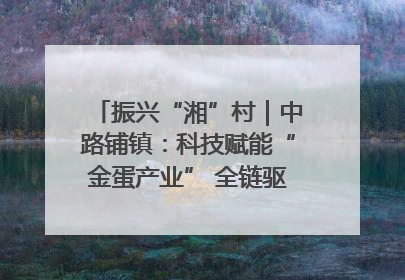 振兴“湘”村｜中路铺镇：科技赋能“金蛋产业” 全链驱动乡村振兴