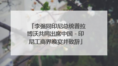 李强同印尼总统普拉博沃共同出席中国－印尼工商界晚宴并致辞
