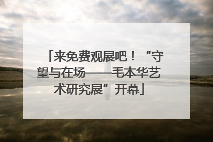 来免费观展吧！“守望与在场——毛本华艺术研究展”开幕