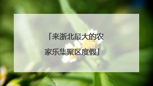 来浙北最大的农家乐集聚区度假