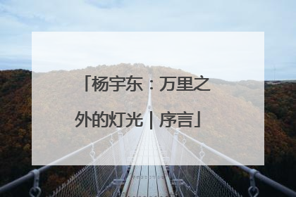 杨宇东：万里之外的灯光｜序言
