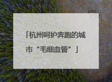 杭州呵护奔跑的城市“毛细血管”