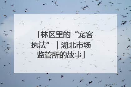 林区里的“宠客执法”｜湖北市场监管所的故事