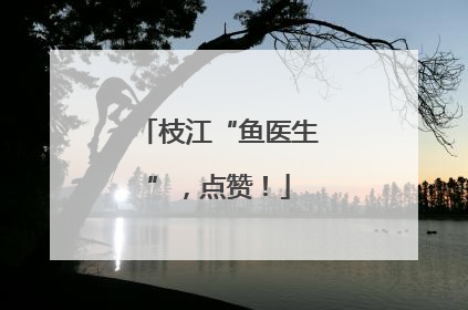 枝江“鱼医生”，点赞！