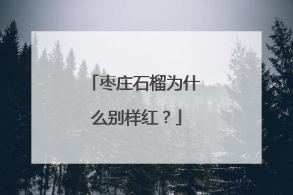 枣庄石榴为什么别样红？