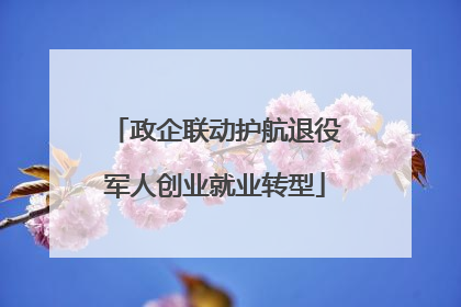 政企联动护航退役军人创业就业转型
