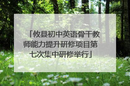 攸县初中英语骨干教师能力提升研修项目第七次集中研修举行