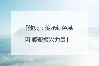 攸县：传承红色基因 凝聚振兴力量