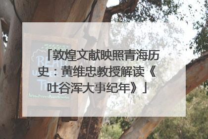 敦煌文献映照青海历史：黄维忠教授解读《吐谷浑大事纪年》