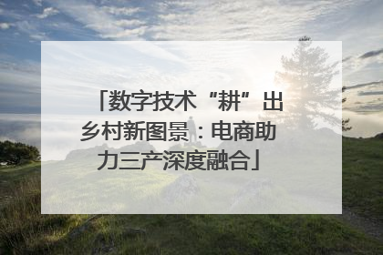 数字技术“耕”出乡村新图景：电商助力三产深度融合