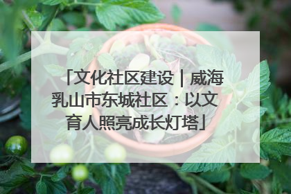 文化社区建设｜威海乳山市东城社区：以文育人照亮成长灯塔