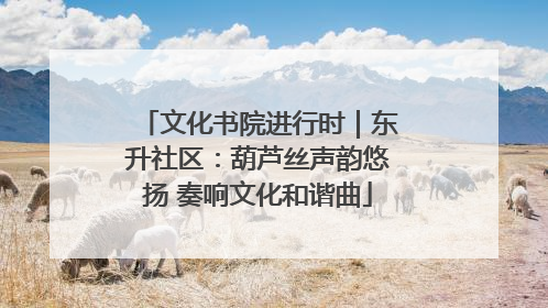 文化书院进行时｜东升社区：葫芦丝声韵悠扬 奏响文化和谐曲