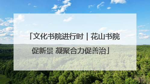 文化书院进行时｜花山书院促新景 凝聚合力促善治