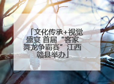 文化传承+视觉盛宴 首届“客家舞龙争霸赛”江西赣县举办