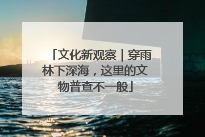 文化新观察｜穿雨林下深海，这里的文物普查不一般