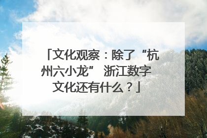 文化观察：除了“杭州六小龙” 浙江数字文化还有什么？