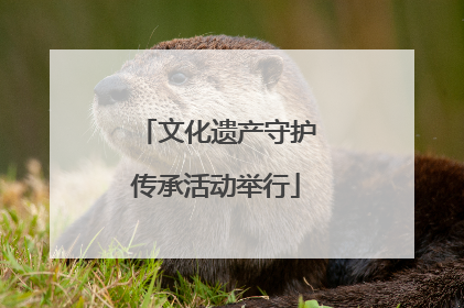 文化遗产守护传承活动举行