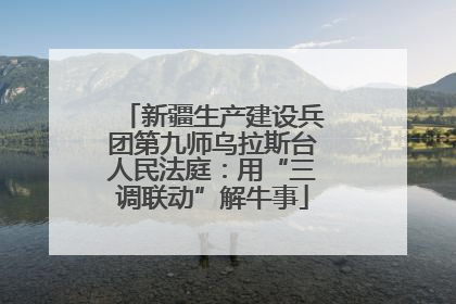 新疆生产建设兵团第九师乌拉斯台人民法庭：用“三调联动”解牛事