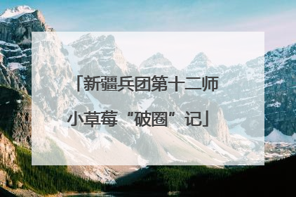 新疆兵团第十二师小草莓“破圈”记
