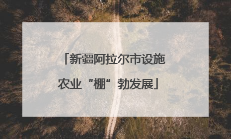 新疆阿拉尔市设施农业“棚”勃发展