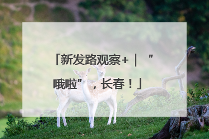 新发路观察+｜“哦啦”，长春！