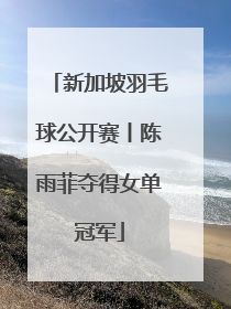 新加坡羽毛球公开赛丨陈雨菲夺得女单冠军