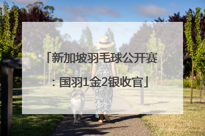 新加坡羽毛球公开赛：国羽1金2银收官