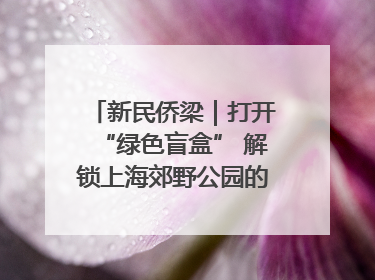 新民侨梁｜打开“绿色盲盒” 解锁上海郊野公园的N种玩法